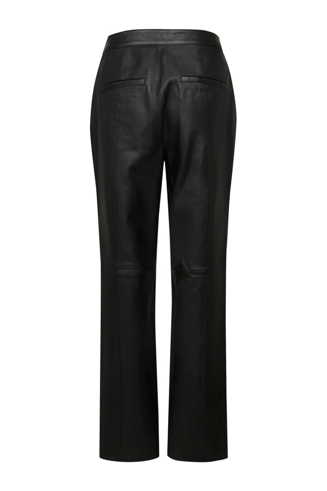 Bruuns Bazaar Women EyteliaBBKaranya leather pants Pants Black